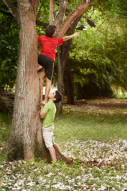 two kids helping each other to climb on tree and reaching for shoes on branch